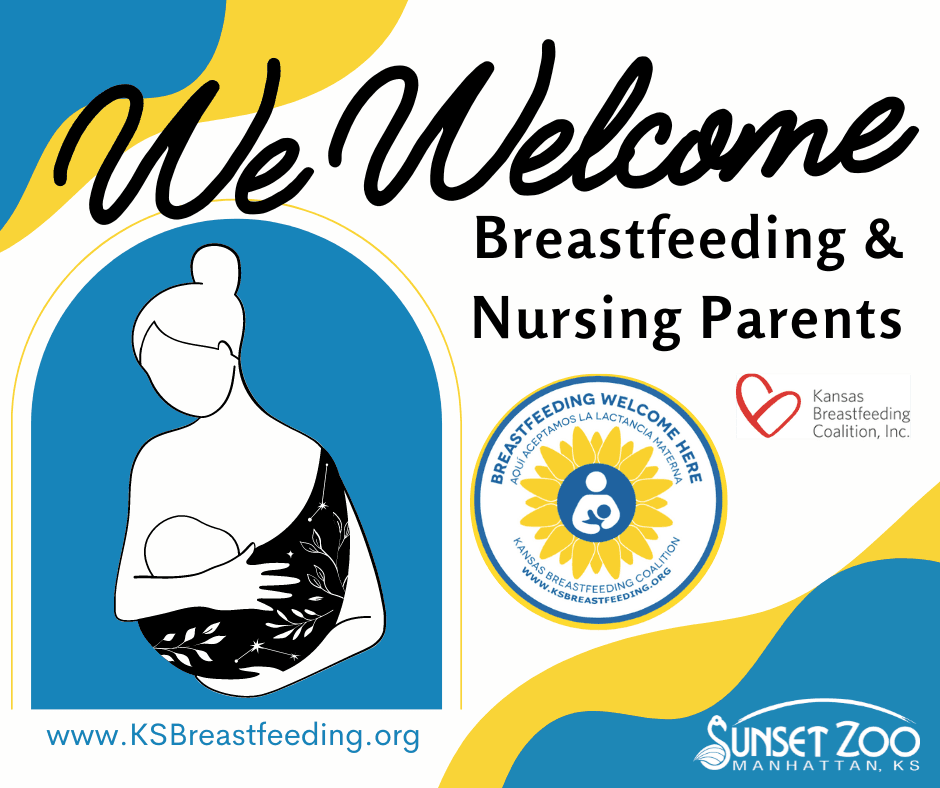 We Welcome Breastfeeding & Nursing Parents