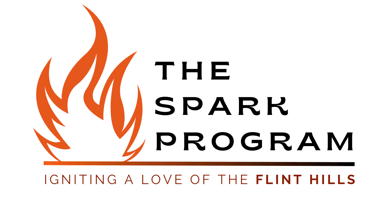 The Spark Program