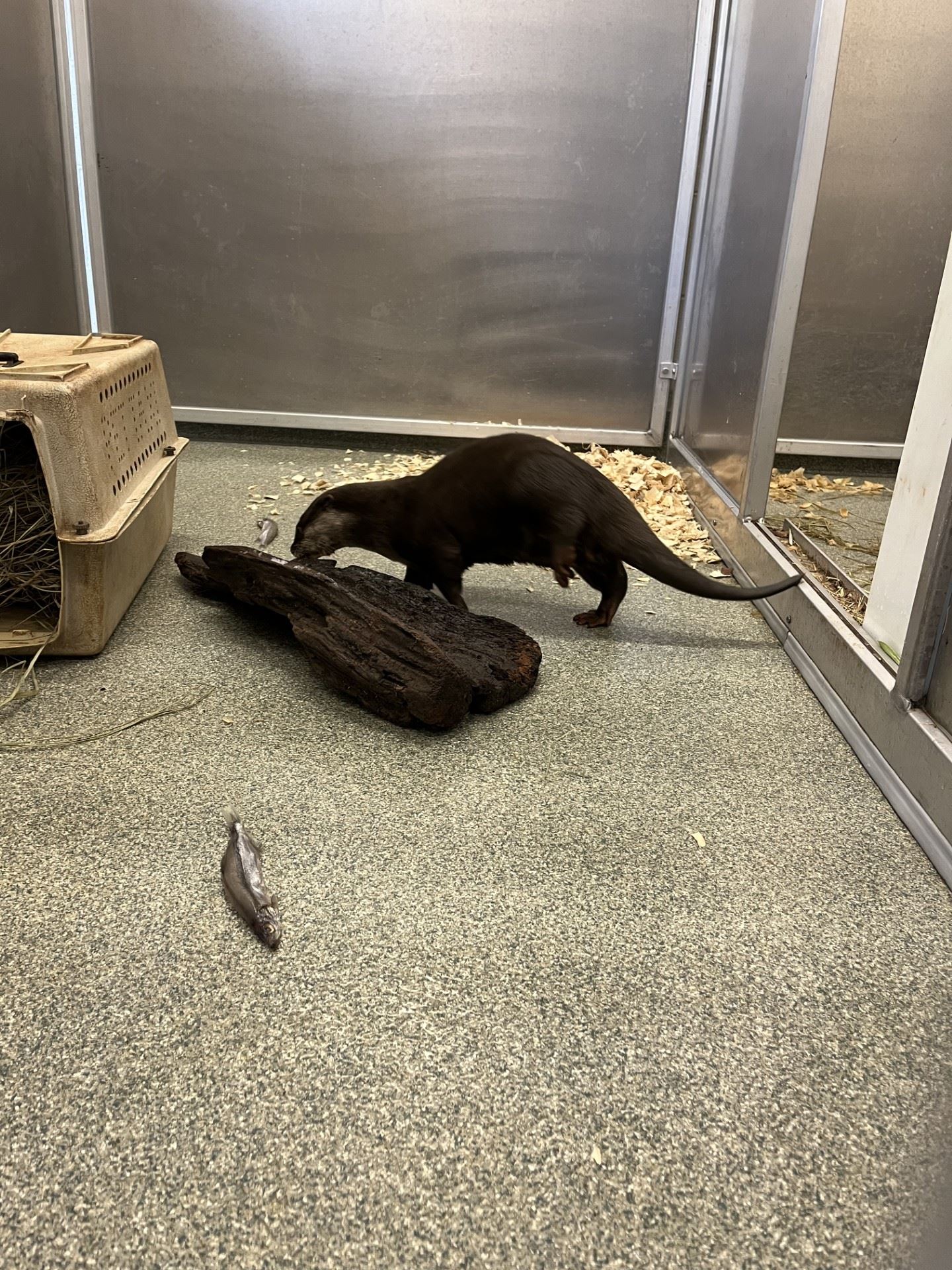 Miracle max behind the scenes 